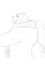  anthro bear blush breath fur grandall_(artist) greyscale male mammal monochrome musclegut muscular polar_bear scarf sketch solo 
