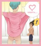  bulma_briefs dragon_ball_z nenee tagme vegeta 