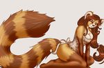  anthro breasts brown_eyes brown_fur brown_hair cleavage closed clothed clothing female fluffy fluffy_tail fur hair mammal red_panda robyn_paperdoll simple_background smile solo white_background 