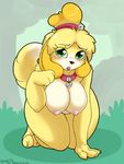  2017 absurd_res all_fours animal_crossing anthro areola big_breasts black_nose blonde_hair blush breasts canine collar dipstick_tail dog eyelashes female green_eyes hair hi_res isabelle_(animal_crossing) looking_at_viewer mammal multicolored_tail nintendo nipples pussy shih_tzu skoon solo video_games 