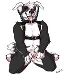  androgymess_(artist) anthro canine clitoris cuntboy digital_media_(artwork) drooling hi_res hypnosis intersex invalid_tag looking_at_viewer mammal mind_control muscular_cuntboy nipples open_mouth piercing pussy saliva simple_background smile solo tongue tongue_out white_background 