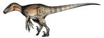  3_fingers 3_toes claws colorful dinosaur dromeasaur fan_made inspecting invalid_tag red_eyes the_isle theropod toes utahraptor 