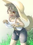  2017 anthro bike_shorts black_hair brown_eyes bulge canine clothed clothing cute fur hair hat kemono male mammal navel open_mouth raised_tail shorts smile solo straw_hat teeth tongue urekemo 