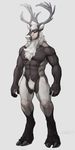  2015 5_fingers abs anthro antlers biceps biped black-kalak black_fur blue_eyes body_hair cervine chest_hair cloven_hooves digital_media_(artwork) featureless_crotch front_view full-length_portrait fur grey_background grey_fur grey_hooves grey_horn hair hooves horn humanoid_hands male mammal multicolored_fur muscular muscular_male naturally_censored navel nude pecs portrait reindeer serratus short_hair signature simple_background snout solo standing white_fur white_hair 