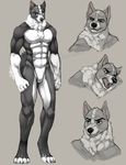  2013 4_toes 5_fingers abs angry anthro barefoot biceps biped black-kalak black_claws black_nose canine chest_tuft claws digital_media_(artwork) digitigrade dog expressions eyebrows featureless_crotch fluffy fluffy_tail grey_background heterochromia male mammal model_sheet muscular muscular_male naturally_censored neck_tuft nipples nude open_mouth otso pecs pink_nipples signature simple_background smile smirk snout solo standing teeth toe_claws toeless_(marking) toes tuft white_tail 