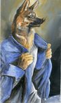  2017 anthro canine clothing dog german_shepherd heather_bruton male mammal solo 