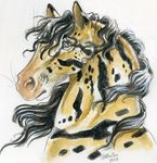  2017 black_hair blue_eyes equine feral hair heather_bruton horse mammal simple_background solo whiskers white_background 