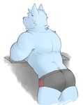  2016 anthro blue_fur boxer_briefs butt canine clothed clothing fur hi_res leaning leaning_forward male mammal muscular rear_view sain seintaur simple_background smile solo standing topless underwear 