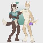  2017 anthro balls brown_fur bryce_(lonewolfhowling) canine clothed clothing dingo foreskin fur humanoid_penis male male/male mammal nude penis sconeo smile spencer_(lonewolfhowling) uncut water wet 