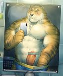  anthro blush clothed clothing colored erection feline hi_res male mammal mirror muscular pecs penis seikeikei2015 simple_background solo tiger underwear 