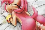  amy_rose sonic_team tagme 