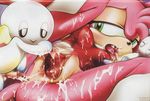  amy_rose chao hero_chao sonic_team tagme 