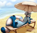  anthro bare_back beach blue_hair day detailed_background hair looking_at_viewer looking_back male nude outside pawpads robyn_paperdoll sand seaside sky smile solo water white_hair 