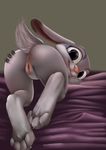  2016 anthro anus butt disney female fur grey_background grey_fur hi_res judy_hopps lagomorph long_ears looking_at_viewer looking_back mammal paws presenting presenting_hindquarters purple_eyes pussy rabbit rear_view simple_background smile solo tres-apples zootopia 