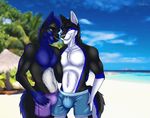  2017 abs anthro beach beachwear black_fur black_hair black_nose blue_eyes blue_fur blue_hair blurred_background bulge canine cinta clothed clothing cloud couple_(disambiguation) dog duo eyebrows flookie fur gloves_(marking) hair husky male mammal markings multicolored_fur muscular sand seaside shorts sky smile topless tree white_fur wolf 