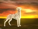  2016 animal_genitalia balls black_nose black_skin canine cinta cloud dalmatian dog feral flaccid flopped_ears looking_at_viewer mammal multicolored_skin penis sheath side_view solo spots standing sunset tongue tongue_out white_skin 