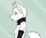  2017 anthro armwear begging blush breasts bridal_gauntlets canine clothed clothing digital_media_(artwork) ears_up female fur fuzzled green_eyes looking_up mammal nipples partially_clothed pixel_(artwork) scarf simple_background solo submissive tongue tongue_out white_fur wolf 