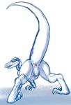  2015 absurd_res ambiguous_gender animal_genitalia bent_over blue_(jurassic_world) butt claws cloaca digital_media_(artwork) digitigrade dinosaur dovne feral hi_res horizontal_cloaca jurassic_park jurassic_world looking_at_viewer looking_back open_mouth presenting presenting_cloaca presenting_hindquarters pubic_boot raptor rear_view scalie slit_pupils solo theropod yellow_eyes 
