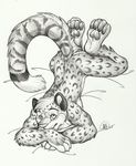  ass_up bed feline leopard male mammal pawpads 