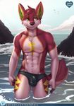  2017 abs anthro black_nose brown_hair bulge canine chest_tuft clothing dog fur green_eyes hair husky inner_ear_fluff male mammal multicolored_fur muscular navel nipples outside pubes public short_hair signature smile solo speedo swimsuit tuft water watermark zeta-haru 