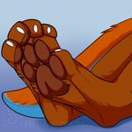 2016 4_toes ailuranthropy ambiguous_gender anthro barefoot blue_background blue_fur brown_fur brown_pawpads claws digital_media_(artwork) digitigrade faceless_ambiguous foot_focus fur hindpaw mammal multicolored_fur multicolored_tail mustelid orange_fur orange_tail oric_the_otter otter pawpads paws signature simple_background solo toe_claws toes white_claws 