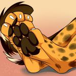  2016 4_toes ailuranthropy ambiguous_gender anthro barefoot brown_fur brown_pawpads brown_spots brown_tail cheetah claws digital_media_(artwork) digitigrade faceless_ambiguous feline foot_focus fur hindpaw king_cheetah mammal multicolored_fur multicolored_tail orange_fur pawpads paws signature simple_background skips92 solo spots spotted_fur toe_claws toes white_claws white_fur white_tail 