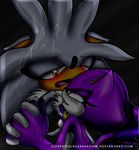  blaze_the_cat silver_the_hedgehog sonic_team tagme 