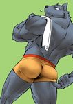  anthro back_muscles biceps black_fur black_nose boxers_(clothing) butt canine clothing fur green_background looking_back looking_down male mammal mennsuke muscular muscular_male neck_tuft simple_background solo standing towel tuft underwear wolf 