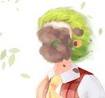  ascot bad_id bad_pixiv_id bright_background collared_shirt covered_face dirt dirty_face dl4544 floating_hair flower green_hair in_the_face kazami_yuuka leaf plaid plaid_vest shirt short_hair solo touhou upper_body vest wind wing_collar 