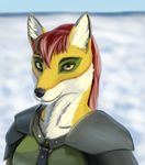  anthro canine female fox lemurlemurovich mammal winter 