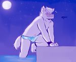  3_toes 4_fingers anthro balls blush bulge canine clothing dog erection eyes_closed fur humanoid_penis male mammal moon penis public purple_fur sky solo speedo star starry_sky swimsuit toes tohfu translucent transparent_clothing water wet wet_clothing white_fur 