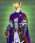  2018 anthro canid canine canis clothed clothing digital_media_(artwork) fox fur hair hi_res male mammal simple_background vallhund 