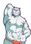  2017 abs anthro armpit_hair biceps black_nose blue_eyes clothed clothing feline fur grey_fur grimoire_of_zero hand_behind_head hi_res jockstrap looking_at_viewer male mammal mercenary_(character) muscular muscular_male navel neck_tuft nipples pecs pose pubes raised_arm raozone simple_background solo standing stripes tiger topless tuft underwear white_background white_fur white_tiger 