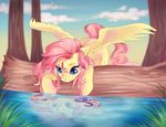  blue_eyes detailed_background equine feathered_wings feathers fluttershy_(mlp) friendship_is_magic hair hooves mammal my_little_pony naminzo pegasus pink_hair reflection sky wings yellow_feathers 