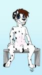  animal_genitalia balls canine dalmatian digitigrade dink_(artist) dog male mammal presenting sheath sitting solo spreading young ziggy_(dink) 