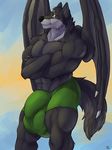  2017 abs anthro biceps biped boxers_(clothing) bulge canine clothed clothing crossed_arms digital_media_(artwork) dragon eye_scar facial_scar front_view fur green_bottomwear green_clothing green_eyes green_underwear grey_fur grey_tail grey_wings hybrid hyper hyper_bulge kaji_aldewolf looking_away male mammal membranous_wings muscular muscular_male pecs portrait quads scar signature smile snout solaxe_(artist) solo standing three-quarter_portrait topless triceps underwear wings wolf 