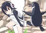  bird black_hair brown_eyes commentary cutout grape-kun hair_between_eyes headphones hood hoodie humboldt_penguin humboldt_penguin_(kemono_friends) jacket kemono_friends moroheiya_(user_harz4842) multicolored_hair penguin rock short_hair smile 