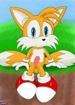  balls canine cpctail cub fox male mammal penis solo sonic_(series) tails_(disambiguation) tails_miles_prower tails_prower young 