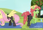  2017 apple clothed clothing duo earth_pony equine feathered_wings feathers female feral fluttershy_(mlp) food friendship_is_magic fruit fur grass hair hi_res horse mammal my_little_pony outside pegasus pink_hair pony shutterflyeqd sky smile tree tree_hugger_(mlp) wings yellow_fur 