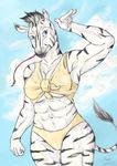  2017 abs anthro equine female mammal momosukida muscular muscular_female solo zebra 