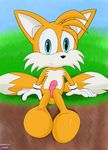  balls canine cpctail cub fox male mammal paws penis solo sonic_(series) tails_(disambiguation) tails_miles_prower tails_prower young 