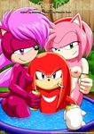  amy_rose knuckles_the_echidna palcomix sonia_the_hedgehog sonic_team sonic_underground 