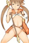 brown_hair flat_chest fumio_(rsqkr) long_hair no_panties nowa pointy_ears queen's_blade solo staff twintails 