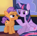  2017 blush cutie_mark duo equine eye_contact feathered_wings feathers female feral friendship_is_magic hair hi_res horn inside male mammal multicolored_hair my_little_pony purple_feathers shutterflyeqd smile tender_taps_(mlp) twilight_sparkle_(mlp) unicorn_horn winged_unicorn wings young 
