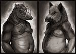  2016 anisis babirusa belly black_border black_eyes boar body_hair border deep_navel digital_media_(artwork) digital_painting_(artwork) duo freckles front_view fur gradient_background grey_background greyscale hairless hairy half-length_portrait happy_trail looking_at_viewer male mammal monochrome musclegut navel nipples nude overweight overweight_male pig_nose porcine portrait signature simple_background tusks white_background wrinkles 