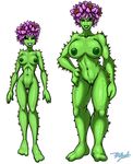  3_fingers areola big_areola big_breasts black_eyes blumagik breasts cactus cactus_dryad corruption_of_champions female flora_fauna flower front_view humanoid looking_at_viewer nipples nude plant portrait pussy simple_background spikes standing sweat white_background 