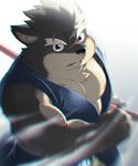  canine clothing dog hinami0506 japanese_clothing male mammal melee_weapon moritaka musclechub nipples pecs samurai slightly_chubby solo sword tokyo_afterschool_summoners tuft weapon 