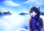 2012 5_fingers anthro arctic_fox black_hair black_nose canine clothed clothing detaield_background female fox fur hair mammal neotheta purple_eyes sky smile solo white_fur 