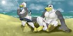  anthro avian ayden_(brogulls) azathura bailey_(brogulls) balls beach bird brothers butt duo erection humanoid_penis male male/male outside penis seagull seaside sibling 