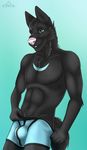  2017 anthro black_fur black_hair blue_eyes bulge canine cinta clothing dog eyebrows fur green_background hair heterochromia husky male mammal markings muscular penis_outline pink_nose red_eyes removing_clothing simple_background smile solo standing teasing tight_underwear underwear 